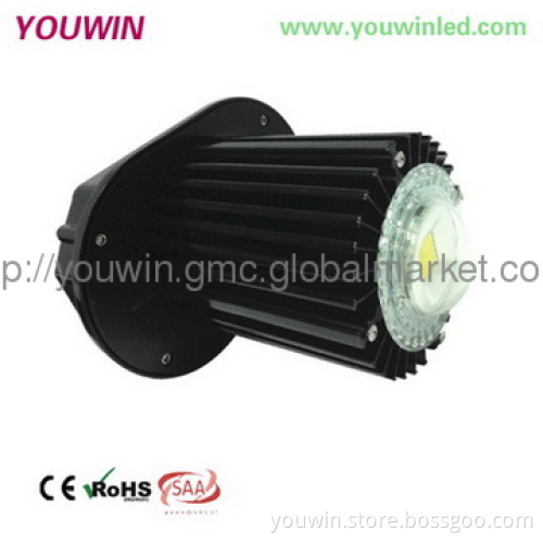 Meanwell driver 100W LED Industrial Lighting
